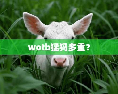 wotb猛犸多重？