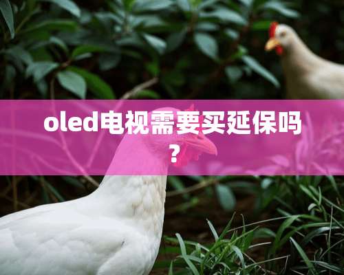 oled电视需要买延保吗？