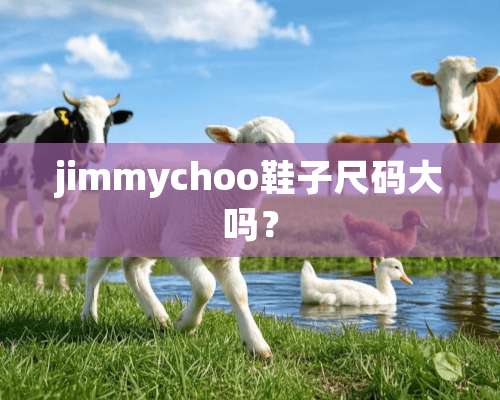 jimmychoo鞋子尺码大吗？