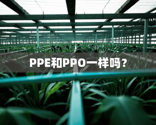 PPE和PPO一样吗？