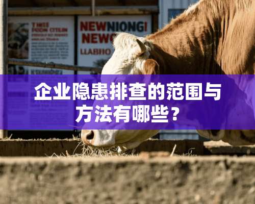 企业隐患排查的范围与方法有哪些？