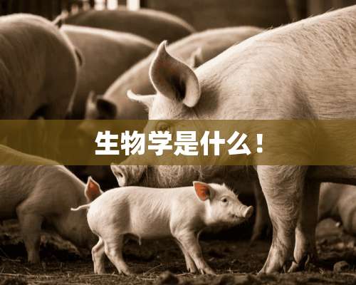 生物学是什么！