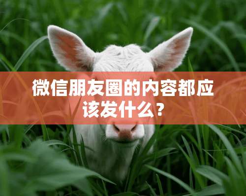 微信朋友圈的内容都应该发什么？