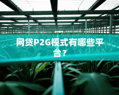 **P2G模式有哪些平台？