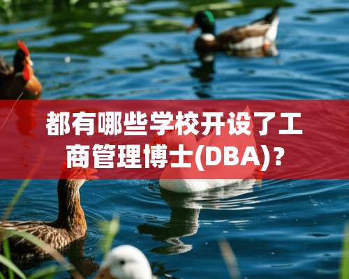 都有哪些学校开设了工商管理博士(DBA)？