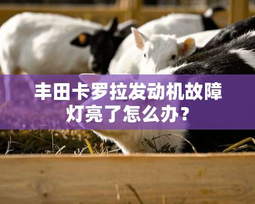 丰田卡罗拉发动机故障灯亮了怎么办？