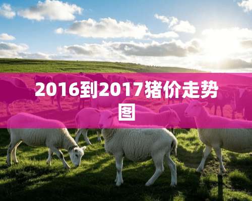 2016到2017猪价走势图