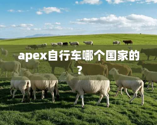 apex自行车哪个国家的？