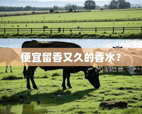 便宜留香又久的香水？