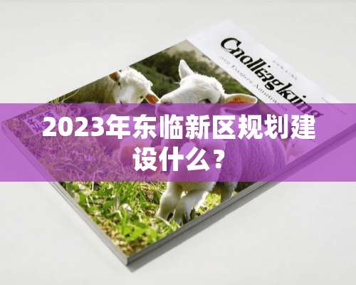 2023年东临新区规划建设什么？