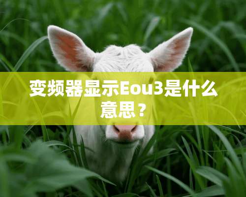 变频器显示Eou3是什么意思？