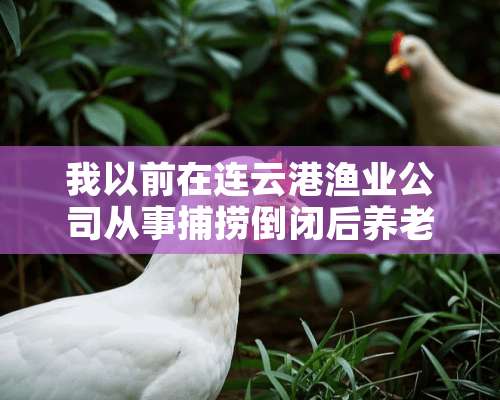 我以前在连云港渔业公司从事捕捞倒闭后养老保险由个人缴纳，现在以到期，但最后三年街道补贴我没领。（原