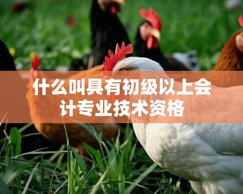 什么叫具有初级以上会计专业技术资格