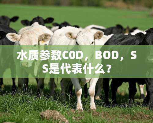 水质参数C0D，BOD，SS是代表什么？