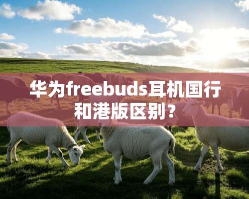 华为freebuds耳机国行和港版区别？