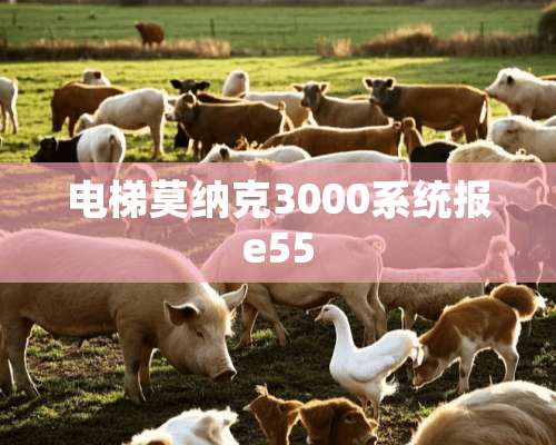 电梯莫纳克3000系统报e55