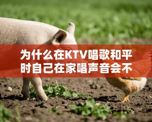 为什么在KTV唱歌和平时自己在家唱声音会不一样呢？