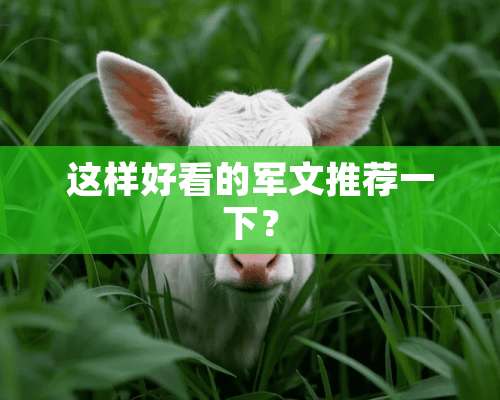 这样好看的军文推荐一下？