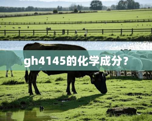 gh4145的化学成分？