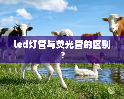 led灯管与荧光管的区别？