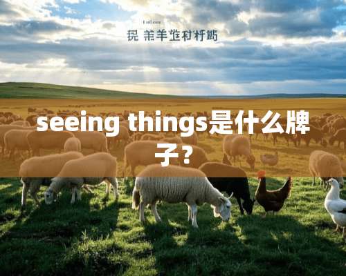 seeing things是什么牌子？