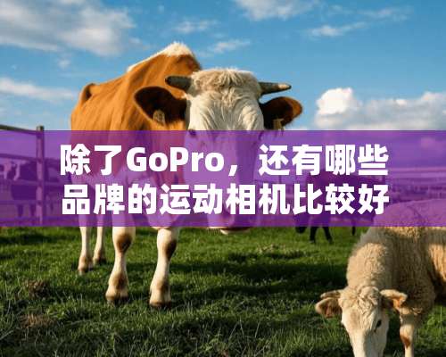 除了GoPro，还有哪些品牌的运动相机比较好？