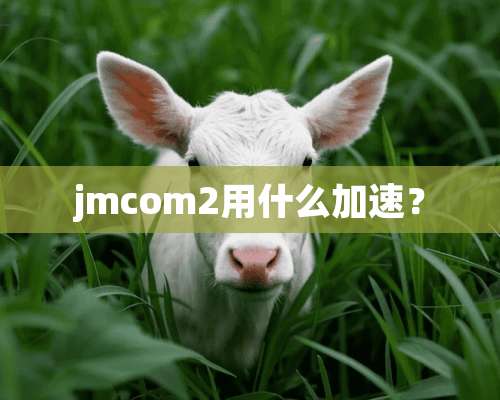 jmcom2用什么加速？