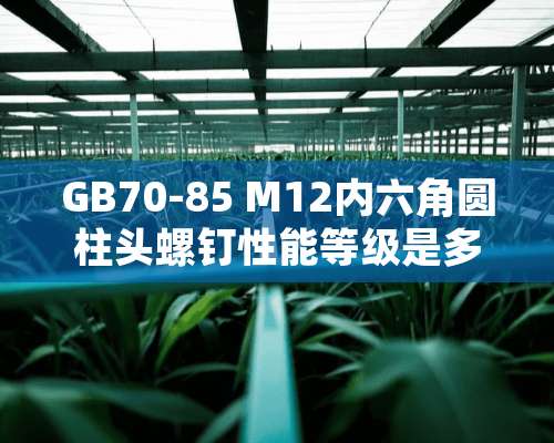 GB70-85 M12内六角圆柱头螺钉性能等级是多少啊？