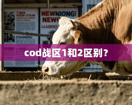 cod战区1和2区别？