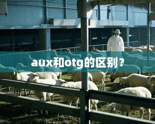 aux和otg的区别？