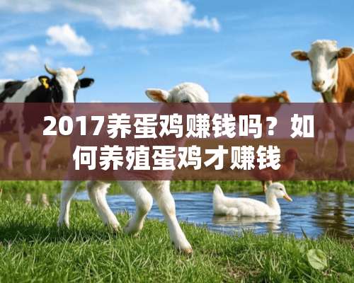 2017养蛋鸡赚钱吗？如何养殖蛋鸡才赚钱