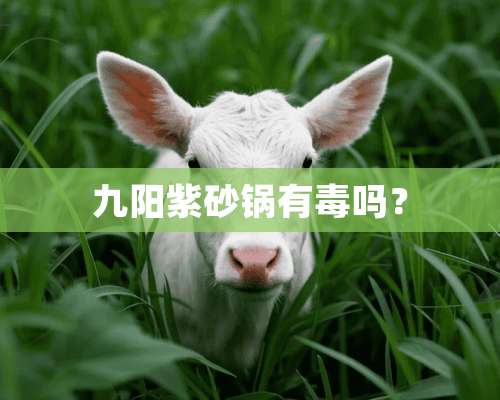 九阳紫砂锅有毒吗？