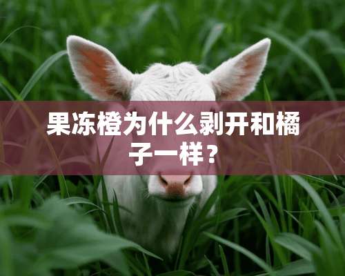 果冻橙为什么剥开和橘子一样？