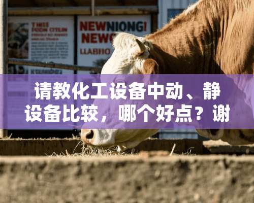 请教化工设备中动、静设备比较，哪个好点？谢谢？