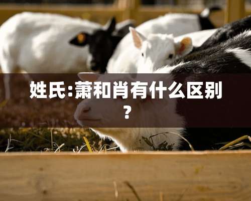 姓氏:萧和肖有什么区别？