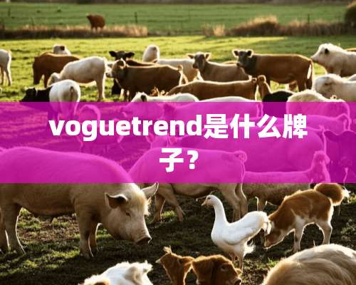 voguetrend是什么牌子？