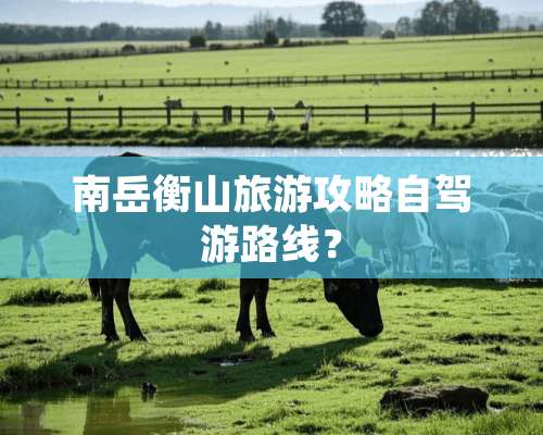 南岳衡山旅游攻略自驾游路线？