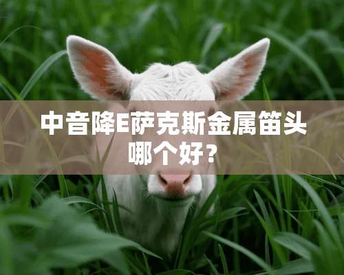 中音降E萨克斯金属笛头哪个好？