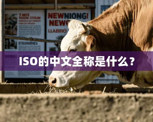 ISO的中文全称是什么？