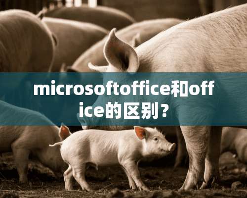 microsoftoffice和office的区别？