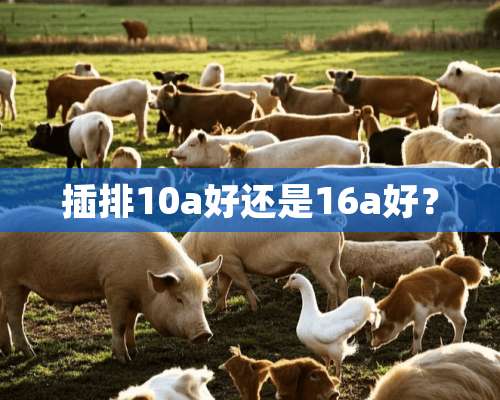 插排10a好还是16a好？