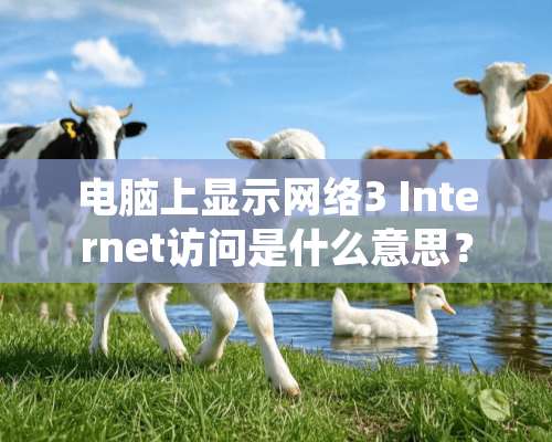 电脑上显示网络3 Internet访问是什么意思？