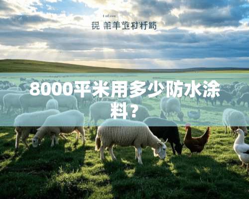 8000平米用多少防水涂料？