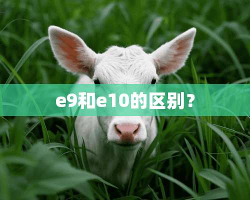 e9和e10的区别？