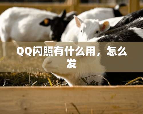 QQ闪照有什么用，怎么发