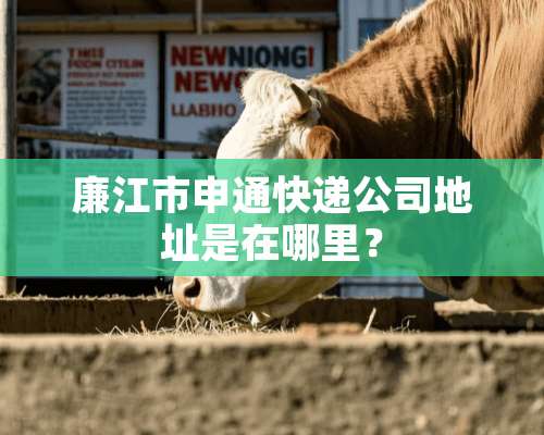 廉江市申通快递公司地址是在哪里？