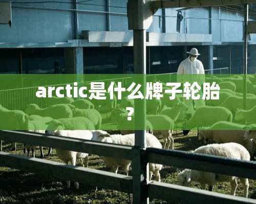 arctic是什么牌子轮胎？