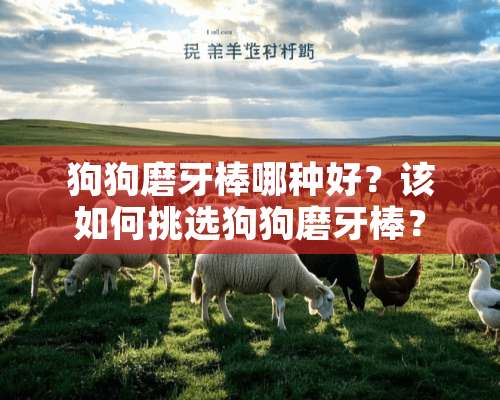 狗狗磨牙棒哪种好？该如何挑选狗狗磨牙棒？