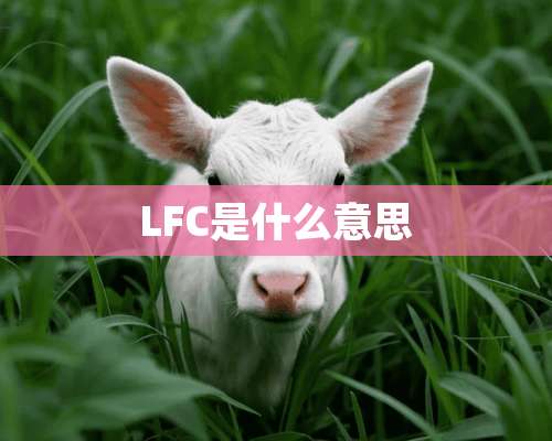 LFC是什么意思