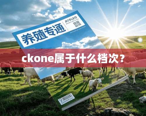 ckone属于什么档次？